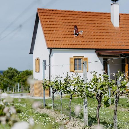 Apartamento Urlaub Im Kellerstoeckl Dunst Strem Habitación foto