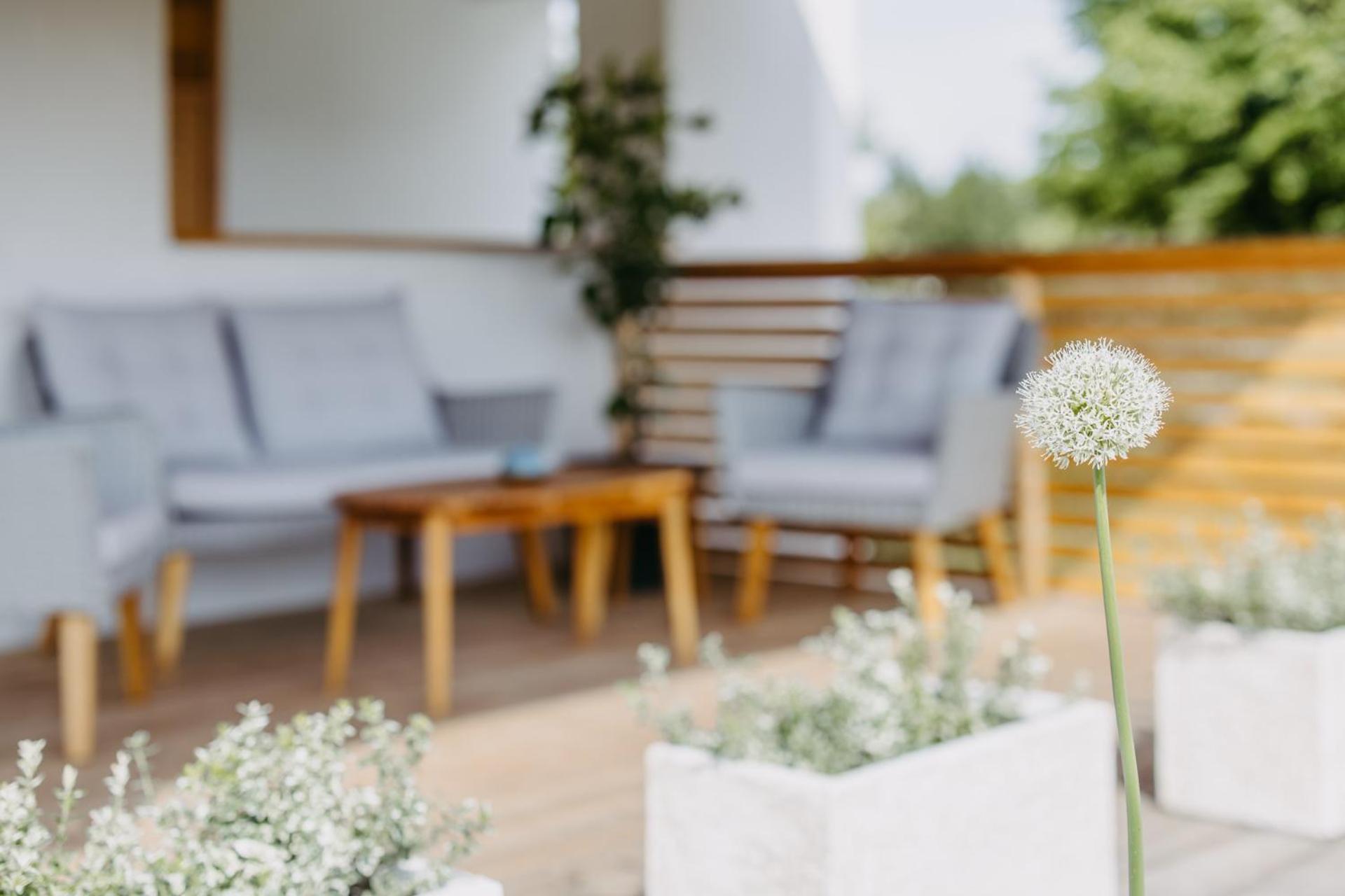 Apartamento Urlaub Im Kellerstoeckl Dunst Strem Habitación foto